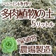 画像1: 多肉植物＆セダムの土　5リットル入　1袋