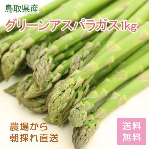 画像: 【当店農場生産】グリーンアスパラガス1kgMから２Lサイズ