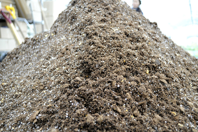 画像2: 多肉植物＆セダムの土　お試し用　1リットル入1袋