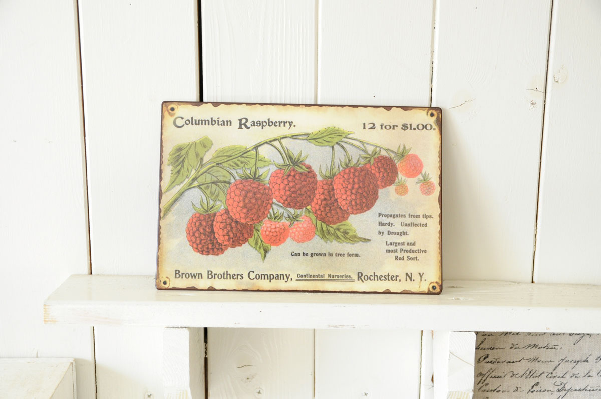 画像1: TIN PLATE LA Columbian Raspberry